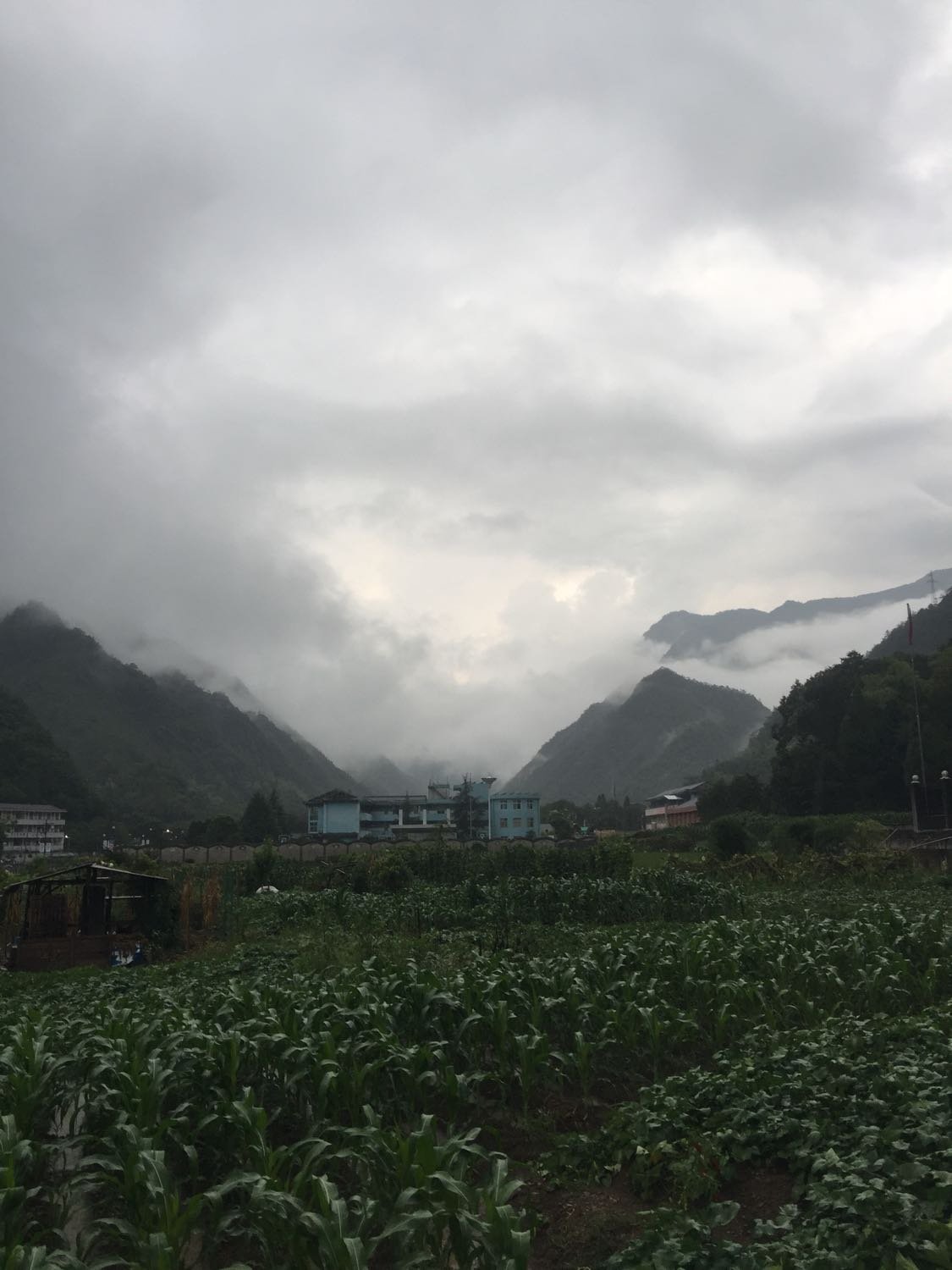 板芙镇天气预报更新通知