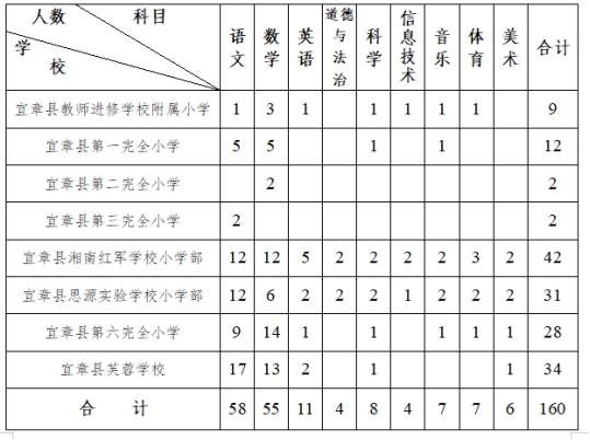 宜章县小学最新招聘信息概览