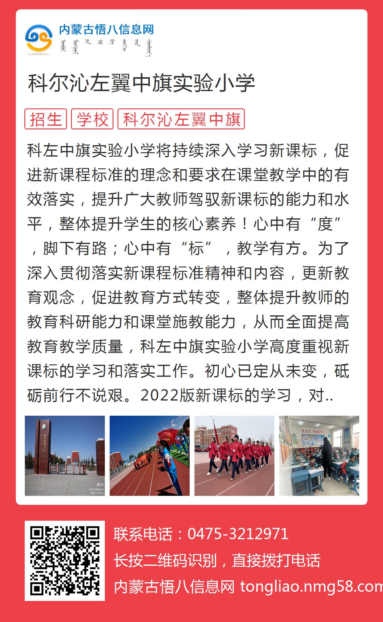 科尔沁右翼中旗小学最新招聘公告概览