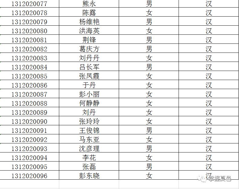 夏邑县小学全新招聘启事概览