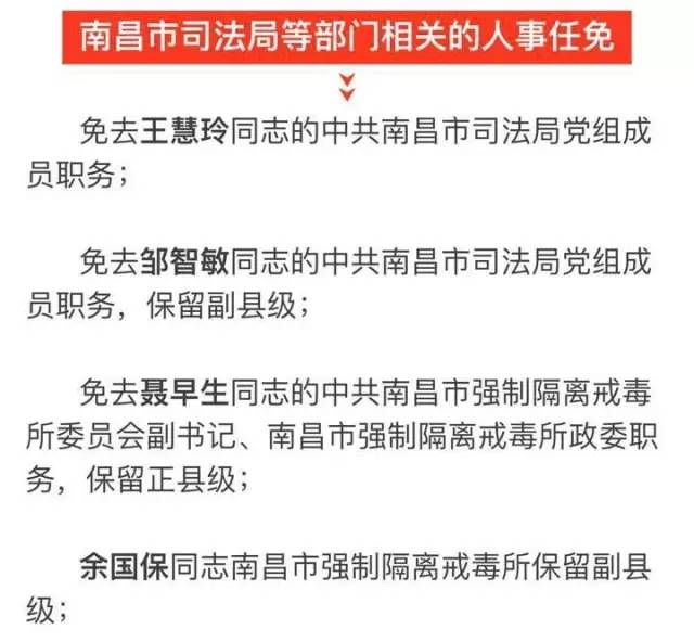 雁峰区科技局人事新任命动态，未来展望与战略部署