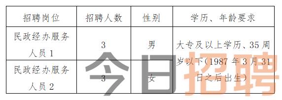 南涧彝族自治县财政局最新招聘启事概览