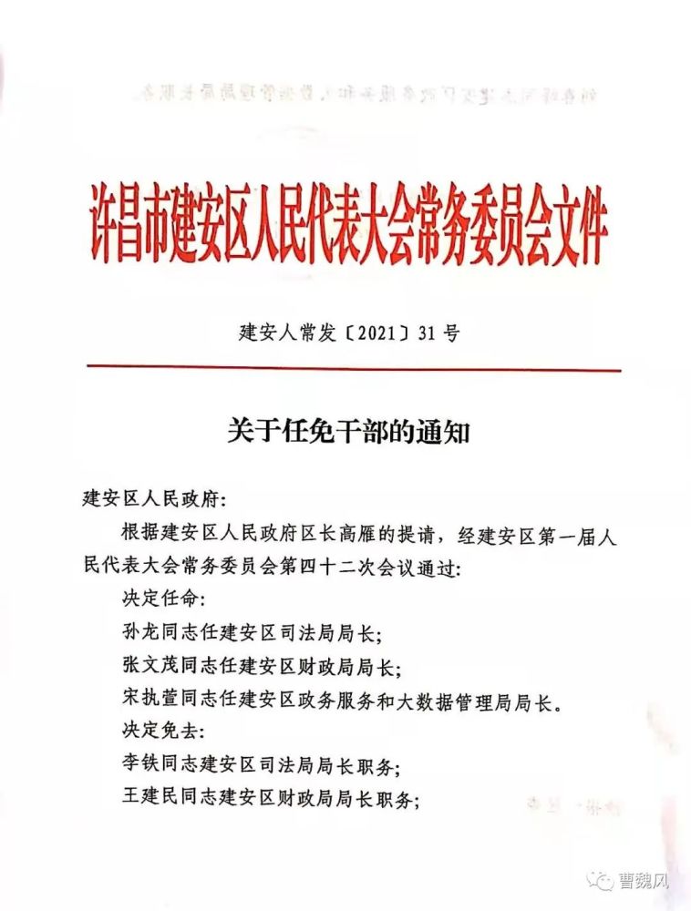 细河区财政局人事任命启动，财政事业迈入发展新篇章