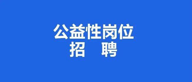 沙子沟村委会最新招聘信息汇总