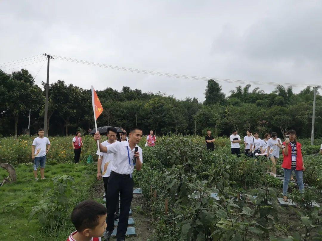 彭家场社区最新动态报道