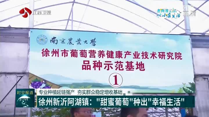 阿湖镇最新招聘信息全面解析