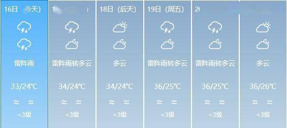 2024年12月 第2页