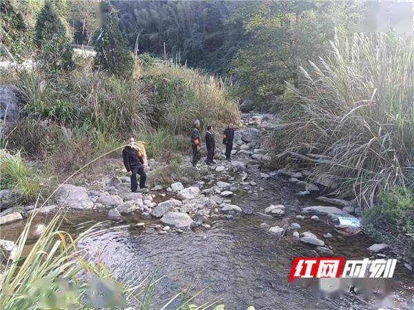 黄泥洞林场天气预报及影响分析