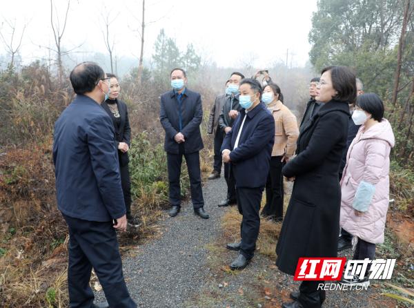 马坪镇最新项目，地区发展的强大引擎驱动力