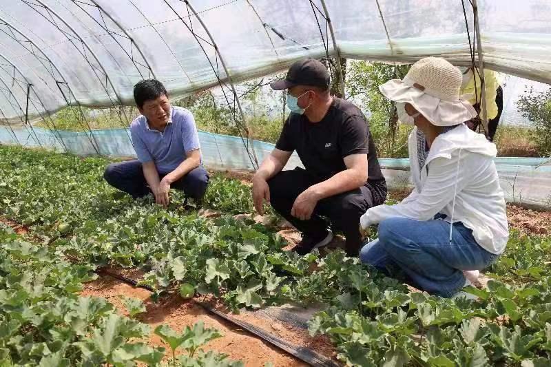 冯记沟乡新项目，引领乡村发展的强大动力源泉