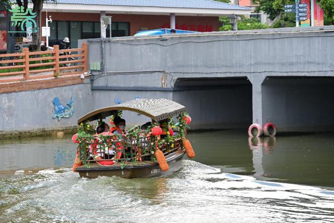 紫水乡绿色生态旅游新项目，引领潮流新篇章