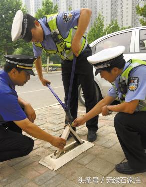 石岗街道办事处推动社区发展，提升居民生活质量新动态