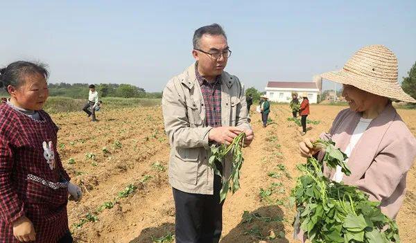 义津镇新项目引领地方经济发展新篇章