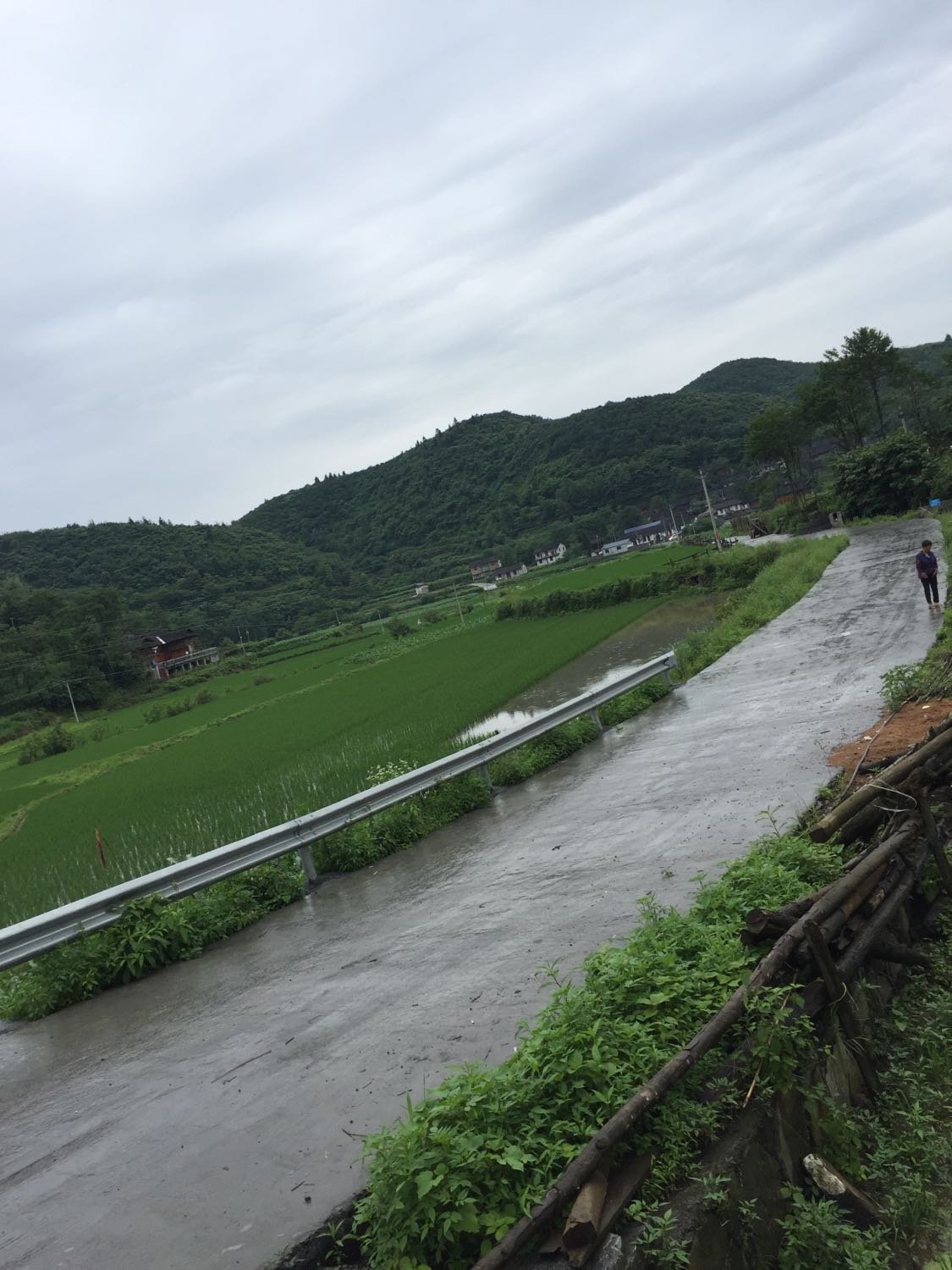 绿溪口乡天气预报更新通知