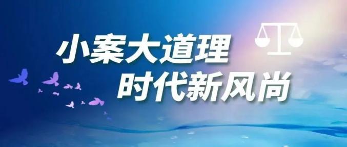 张树村委会最新招聘信息与职业机会探索