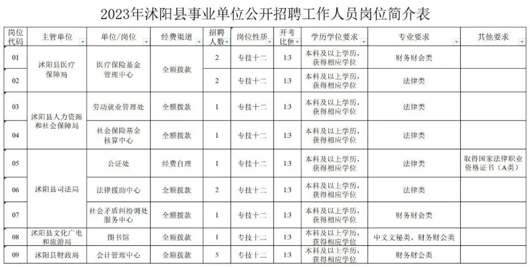 沭阳县人民政府办公室最新招聘概览，职位、条件及待遇全解析